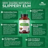 USDA Organic Slippery Elm Bark 20:1 Extract, 8000 mg Strength