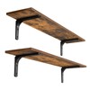 DINZI LVJ Long Wall Shelves, 39.4Inch Wall Mounted Shelves Set