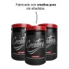 Adictos Al Gym Creatina Suplemento 500g 100serv Sfn