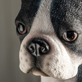Pacific Giftware Boston Terrier Dog Figurine Statue Cute Home Decor Accent Perfect Dog Gift for Animal Collectors Unique Decoration for Birthdays and Special Occasions 15 Inches Tall