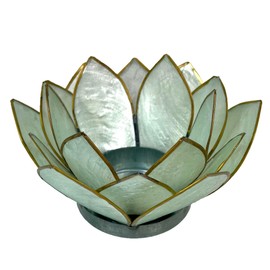 Seafoam Green Capiz Shell Blooming Lotus Flower Blossom Tealight Candle Holder 4.5 Inch Diameter