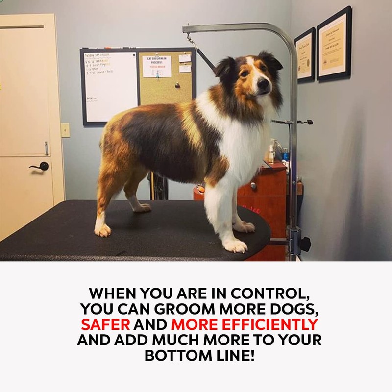 Groomers Helper® Classic Starter Set (Black)