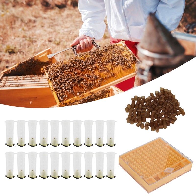 Queen Bee Rearing Box Cage Plastic Breeding Cell Cup Kit