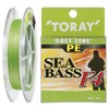 TORAY Salt line PE Chivas F4 18lb