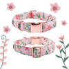Lionet Paws Dog Collar with Bow Tie - Soft Comfortable