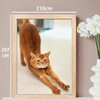 A4 21 x 29.7cm Picture Frame, A4 Photo Frame, A4