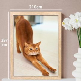 A4 21 x 29.7cm Picture Frame, A4 Photo Frame, A4 Picture Frame, Versatile Picture Frame, Landscape or Portrait Orientation, A4 Certificate Frame, Puzzle Frames, Wall-Mount & Desk Stand(Burlywood)