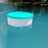 POOLWHALE Pool & Spa Floating Dispenser Collapsible Floater (Large)