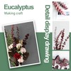 (20Pcs) Dried Eucalyptus Stems - Red, Fall Decorations for Home,