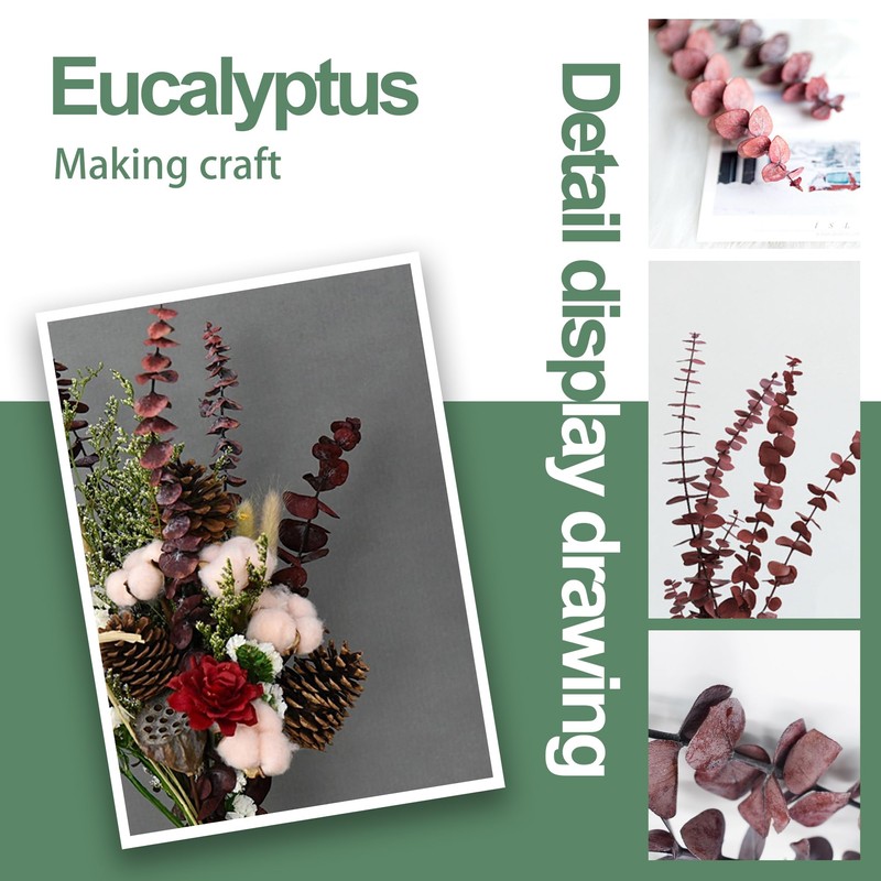 (20Pcs) Dried Eucalyptus Stems - Red, Fall Decorations for Home,