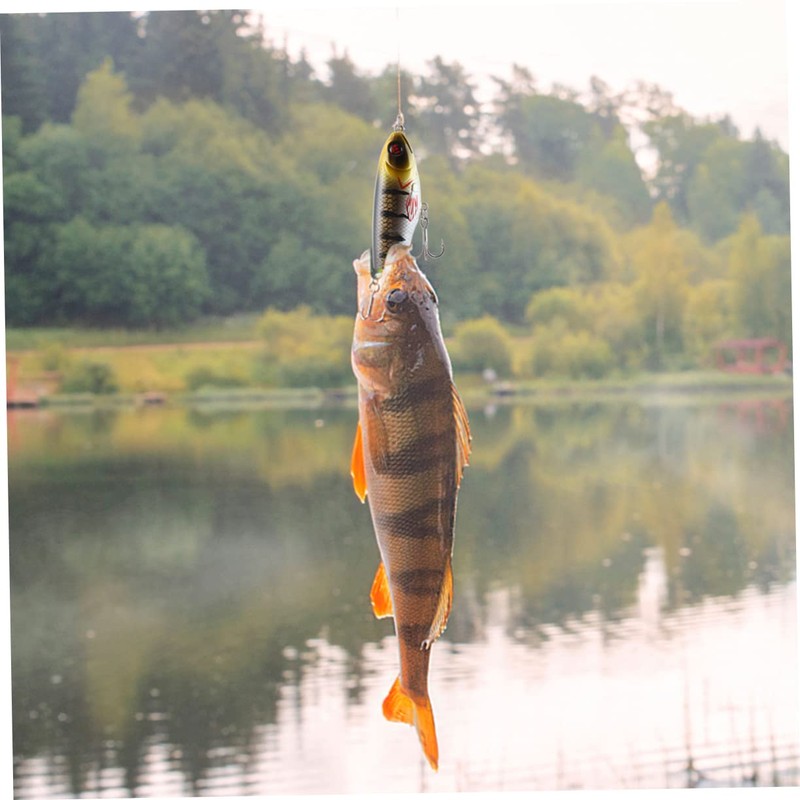 SUPVOX 2pcs Hard Bait Fishing -Like Imitation Baits for Freshwater
