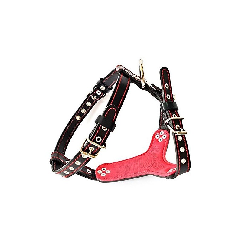Bestia studded leather harness. French Bulldog size. 100% leather. Handmade