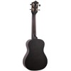 Eddy Finn Color Burst Ukulele with Gig Bag, Gray Burst,
