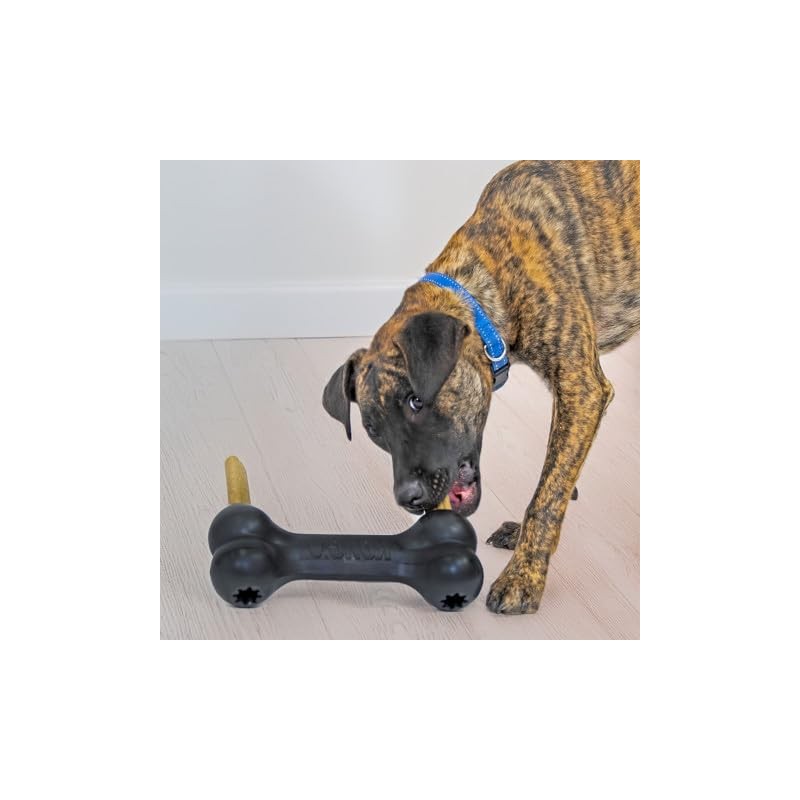 KONG Hueso Extreme Goddie XG