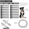 W/W Lifetime Dog Chain Collar Walking Metal Collar with Design