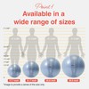 Primasole Fitness Ball 75CM Pale Gray
