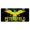 Fast Service Designs Jamaica Flag License Plate Jamaican Eagle Emblem