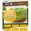 Color Farm Domestic Pine Needles Tea, 0.04 oz (1 g)