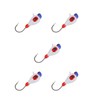 5 Pcs Winter Ice Fishing Jigs Kit Hooks Lures for