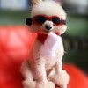 TRIROCK Dog Sunglasses, For Small and Medium Dogs, Goggles, For