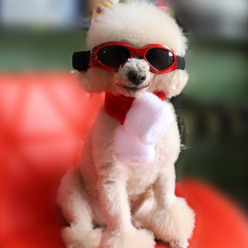TRIROCK Dog Sunglasses, For Small and Medium Dogs, Goggles, For