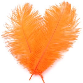 Pack of 10 20-25 cm Natural Ostrich Feathers, Ostrich Feathers for Crafts, Craft Feathers for DIY Dream Catcher Accessories, Home Decoration, Costumes, Table Decoration, Wedding, Party, Festival,