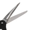 Rekord Single-Handed Boxwood Shears (Stainless Steel, Plastic) with Safety Lock