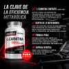 L-carnitina Pura 1200mg | 200 Cápsulas | Testrol Essential Sin