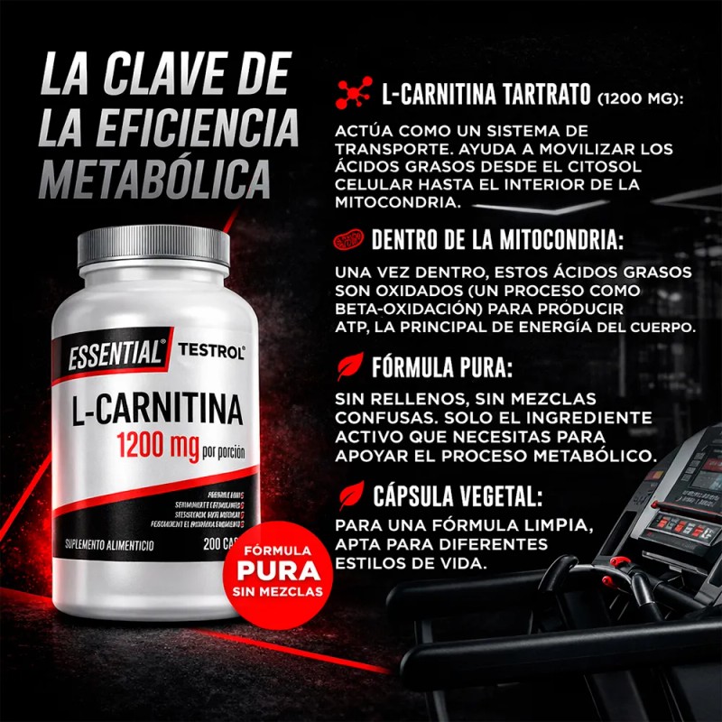 L-carnitina Pura 1200mg | 200 Cápsulas | Testrol Essential Sin