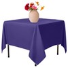 Elegant Event Essentials-Celebration-Ready Polyester Square Tablecloth Collection: Elevate Your Home,