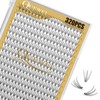 QUEWEL Individual Eyelashes, Pack of 320, Individual Eyelashes for Eye