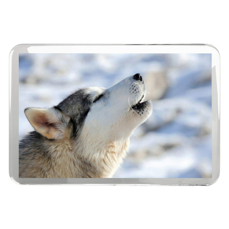 1 x Fridge Magnet -Howling Husky Wolf Classic Fridge Magnet