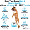 NutriPaw Joint & Hip Treats For Dogs - Stiffness, Strength,