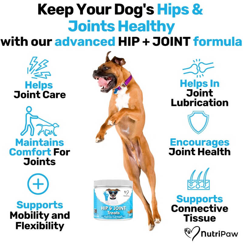 NutriPaw Joint & Hip Treats For Dogs - Stiffness, Strength,