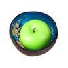 YEASQGS Hand Painted Floral Coconut Bowls Natural Coconut Shell Bowl