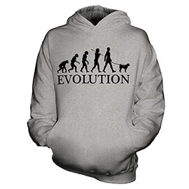 Candymix - Chinese Shar Pei Evolution of Man - Unisex Kids Hoodie Boys Girls Childrens Toddlers Hooded Sweater Top, Age 1-2, Colour Grey Marl