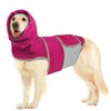 Dog Anxiety Shirt with Hood, Thunder Vest Noise-Reducing, Skin-Friendly Relief