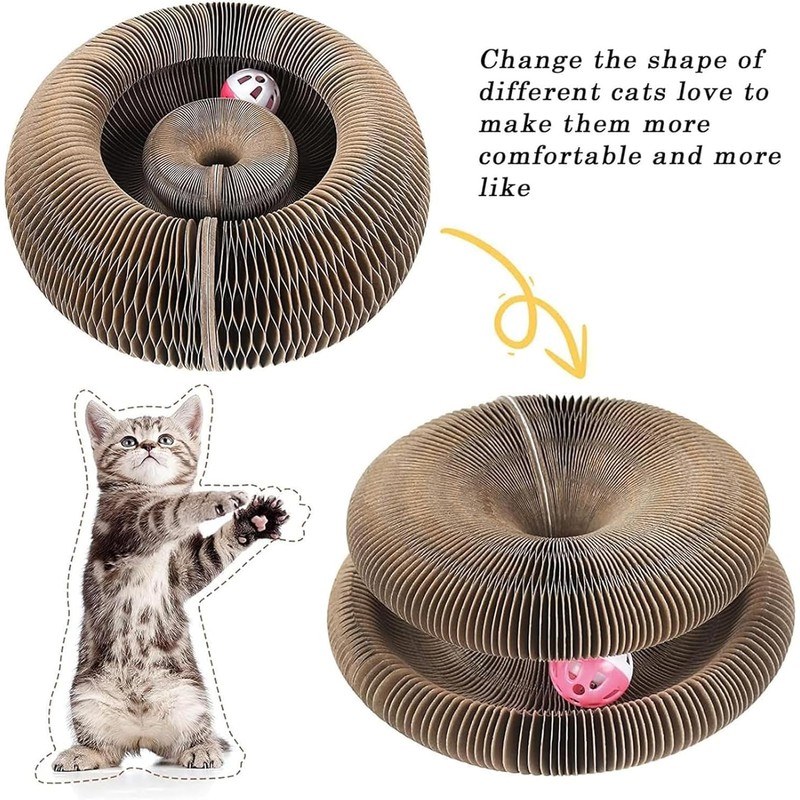 Kitty Curlz, Kitty Curlz Cat Toy - Magic Organ Cat