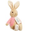 Rainbow Designs Peter Rabbit My First Flopsy Bunny