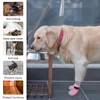 SCENEREAL Anti Slip Dog Sock to Prevent Licking Paws for