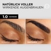 L'Oréal Paris Eyebrow Colour for a Radiant and Perfectly Groomed