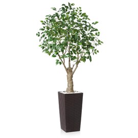 Laiwot Ficus Artificial Trees Indoor Outdoor, 6ft Tall Fake Ficus Plants, Large Faux Ficus Tree with Brown Planter, Fake Ficus Silk Tree for Home Office Garden Patio Outdoor Modern Decor, 1 Pack