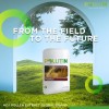 Pollitin 2 x Polliton Nutraceutical Dietary Supplement Graminex Rye Grass