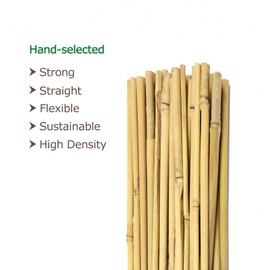 Cambaverd 6ft Bamboo Garden Stakes Eco-Friendly Plant Stakes 6 Feet, Bamboo Poles for Tomatoes Beans Climbing Plants Support - Pack of 20 Bamboo Stakes Natural | Cambaverd