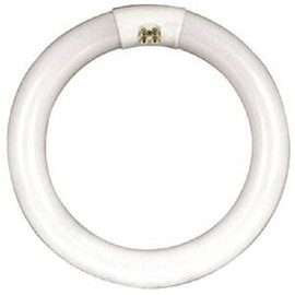 Fc16t10/Cw 40w 16 in. Circline