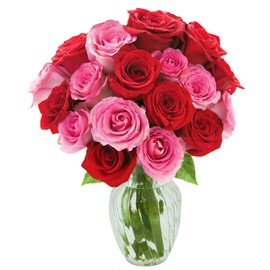 KaBloom PRIME NEXT DAY DELIVERY - Fall Collection - Romantic Bouquet of 18 Red and Pink Roses with Vase.Gift for Birthday, Get Well, Thank You, Valentine, Mother’s Day Fresh Flowers