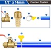 Brass Pipe Adapter, 6 Pieces 12 mm Barb x 1/2