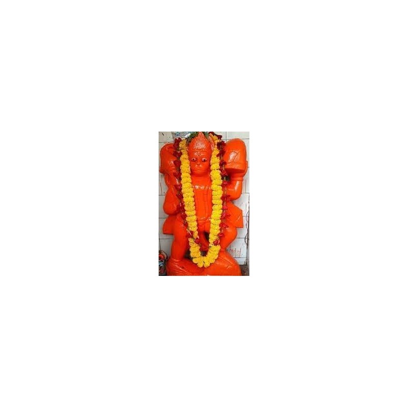 Generic Chameli Tel Hanuman Ji Chola Chameli Tel Bajrangbali Maruti