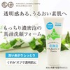 Hokkaido Natural Creamy Wash 3.5 oz (100 g) [Hokkaido Pure