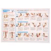 New-HALE 721951 X-TAPE Taping Tape, Ankle, Quick to Stick Series,
